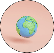 Global Perspective icon